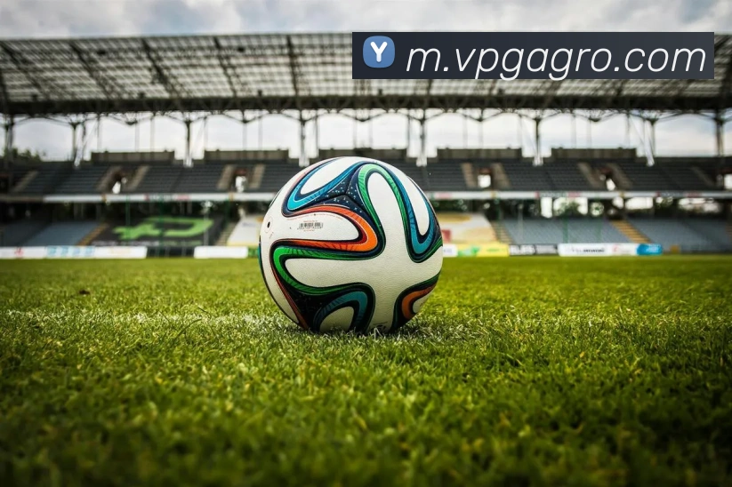 意昂官网平台生态图